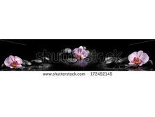 Stock-photo-horizontal-panorama-with-pink-orchids-and-zen-stones-on-black-background-172492145.jpg