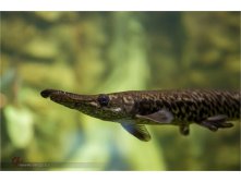 20150510-15-56-35-VIK 0048.jpg