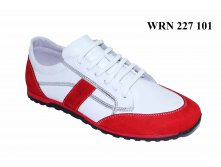 1570. WRN 227 101