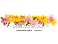 Stock-photo-floral-panorama-13335355.jpg