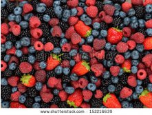 Stock-photo-background-of-different-berries-and-fruits-152216639.jpg