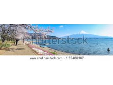 Stock-photo-kawaguchi-japan-apr-cherry-blossom-festival-at-lake-kawaguchi-april-in-japan-135406367.jpg