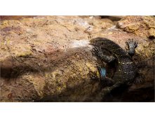 20150510-16-24-18-VIK 0173.jpg