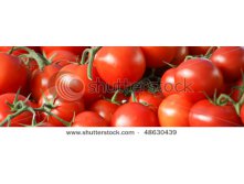 Stock-photo-tomatoes-48630439.jpg