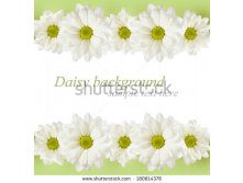 Stock-photo-white-background-with-daisy-flowers-lines-180814376.jpg