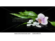 Stock-photo-spa-still-life-with-zen-stone-orchid-flower-and-bamboo-for-banner-126248033.jpg