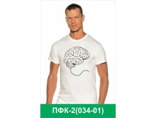 ПФК-2(034-01).jpg