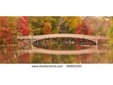 Stock-photo-panorama-of-fall-colors-at-bow-bridge-in-central-park-new-york-city-88802293.jpg