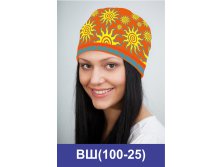 ВШ(100-25).jpg
