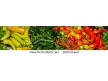 Stock-photo-a-bulk-display-of-colorful-hot-peppers-ready-for-use-in-the-kitchen-160230440.jpg