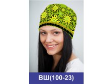 ВШ(100-23).jpg