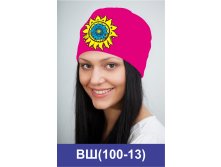 ВШ(100-13).jpg