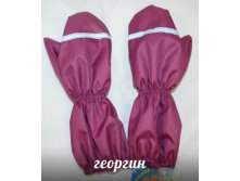 георгин