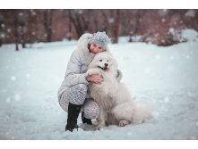 Samoyed (12).jpg