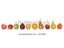 Stock-photo-take-your-pick-a-variety-of-fruit-casting-shadow-on-white-background-xl-file-4514098.jpg