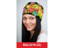 ВШ(016-22).jpg