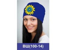 ВШ(100-14).jpg