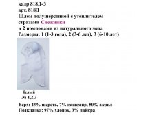 8*1*8**-3.jpg
