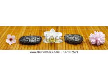 Stock-photo-panorama-of-japanese-zen-garden-with-stones-and-blooms-in-row-167037521.jpg