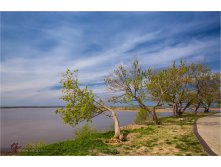 20150511-12-16-35-VIK 0244.jpg