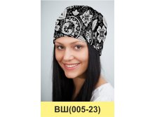 ВШ(005-23).jpg