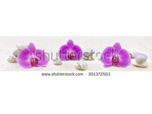 Stock-photo-panorama-with-orchids-and-zen-stones-in-the-sand-201372503.jpg