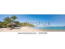 Stock-photo-tropical-beach-panorama-with-deckchairs-umbrellas-boats-and-palm-tree-57563536.jpg