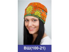 ВШ(100-21).jpg