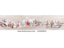 Stock-photo-panorama-with-orchids-and-zen-stones-in-the-sand-210592657.jpg