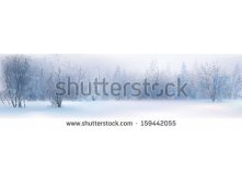 Stock-vector-vector-of-winter-landscape-snowy-forest-159442055.jpg