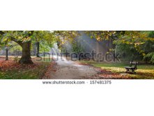 Stock-photo-path-in-the-autumn-park-autumn-landscape-park-in-autumn-panorama-157481375.jpg