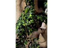 20150510-16-21-55-VIK 0166.jpg