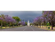 Stock-photo-spring-in-buenos-aires-119727001.jpg