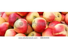 Stock-photo-apples-48630430.jpg