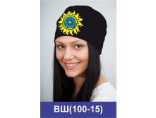 ВШ(100-15).jpg