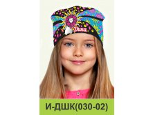 И-ДШК(030-02).jpg