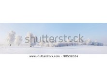 Stock-photo-winter-beautiful-landscape-with-trees-covered-with-hoarfrost-90539524.jpg