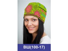 ВШ(100-17).jpg