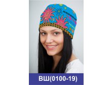 ВШ(100-19).jpg