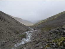 IMG 1999.JPG