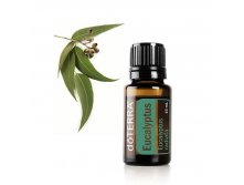  Eucalyptus Essential Oil