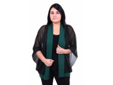 1688   620 . - 50-60.jpg