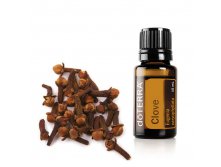  Clove Essential Oil