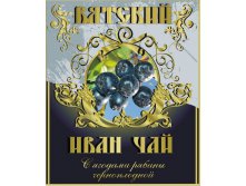 Арония.jpg