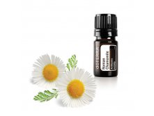   Roman Chamomile Essential Oil