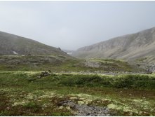 IMG 2016.JPG