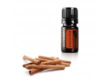  Cinnamon Bark Essential Oil