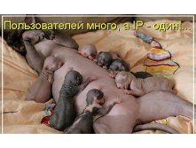 GetImage(32).jpg