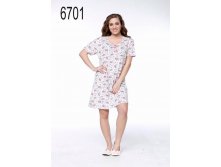 6701.jpg