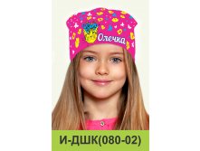 И-ДШК(080-02).jpg